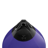 Purple buoy with Black-Top, Polyform A-5 angled shot