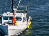 LD-Series Low Drag Buoy LD-4 Standard Blue Ropehold