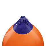 A-Series Buoy A-7 Standard Blue Ropehold