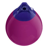 A-Series Buoy A-0 Standard Blue Ropehold