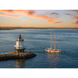 F-Series Boat Fender F-11 Grey Ropehold