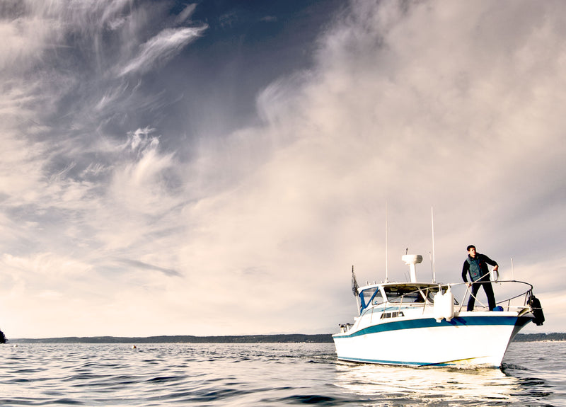 small craft boat with Polyform US boat fenders and man holding rope in Seattle USA