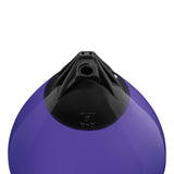 Purple buoy with Black-Top, Polyform A-4 angled shot
