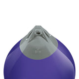 Purple buoy with Grey-Top, Polyform A-6 angled shot