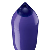 Purple boat fender with Navy-Top, Polyform F-10 angled shot