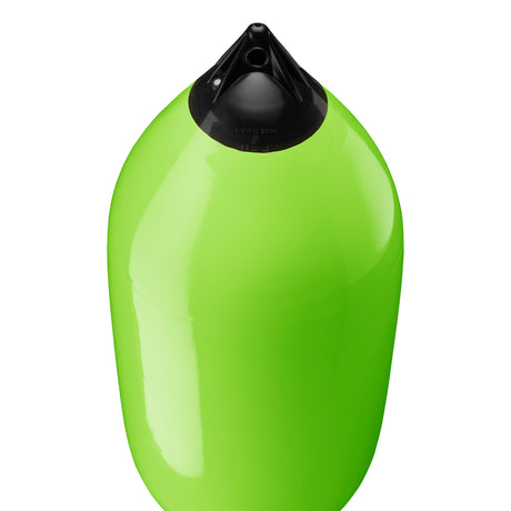 Lime boat fender with Navy-Top, Polyform F-11 angled shot