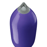 Purple boat fender with Grey-Top, Polyform F-11 angled shot