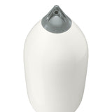White boat fender with Grey-Top, Polyform F-11 angled shot