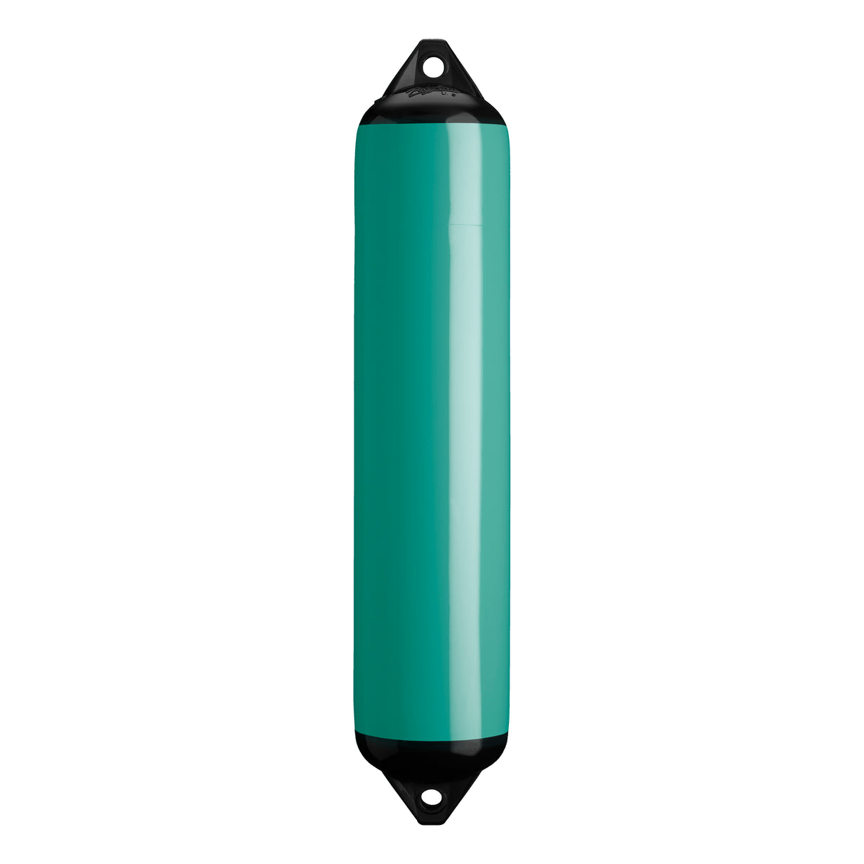 Teal boat fender with Black-Top, Polyform F-4