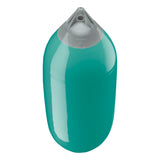 Teal boat fender with Grey-Top, Polyform F-7 angled shot